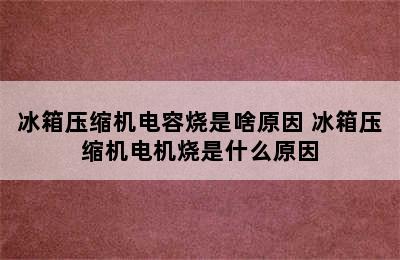 冰箱压缩机电容烧是啥原因 冰箱压缩机电机烧是什么原因